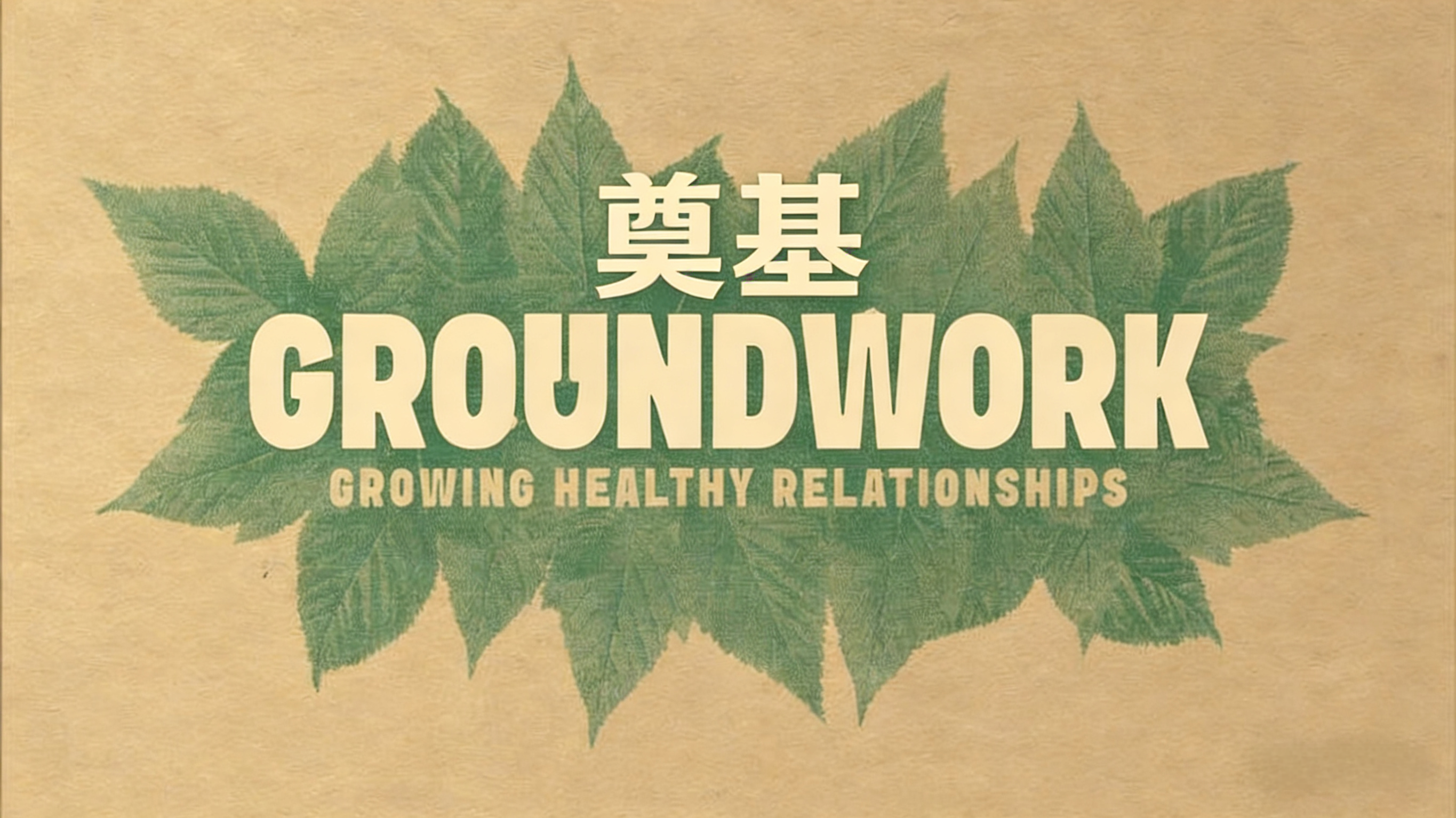 奠基系列-第五周