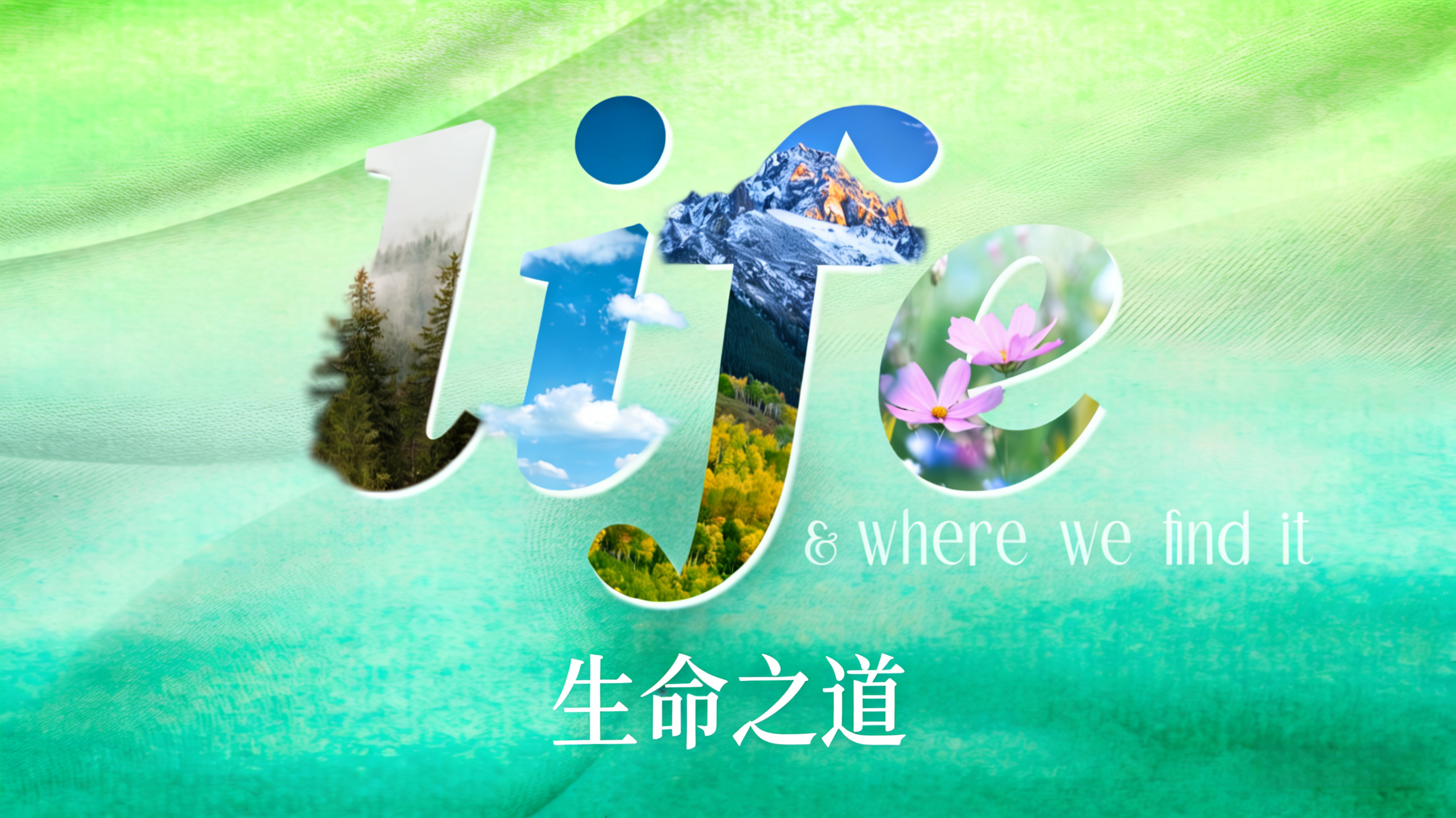 生命之道系列-第一周